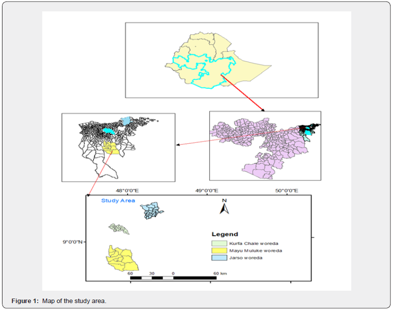 Click here to view Large Figure 1