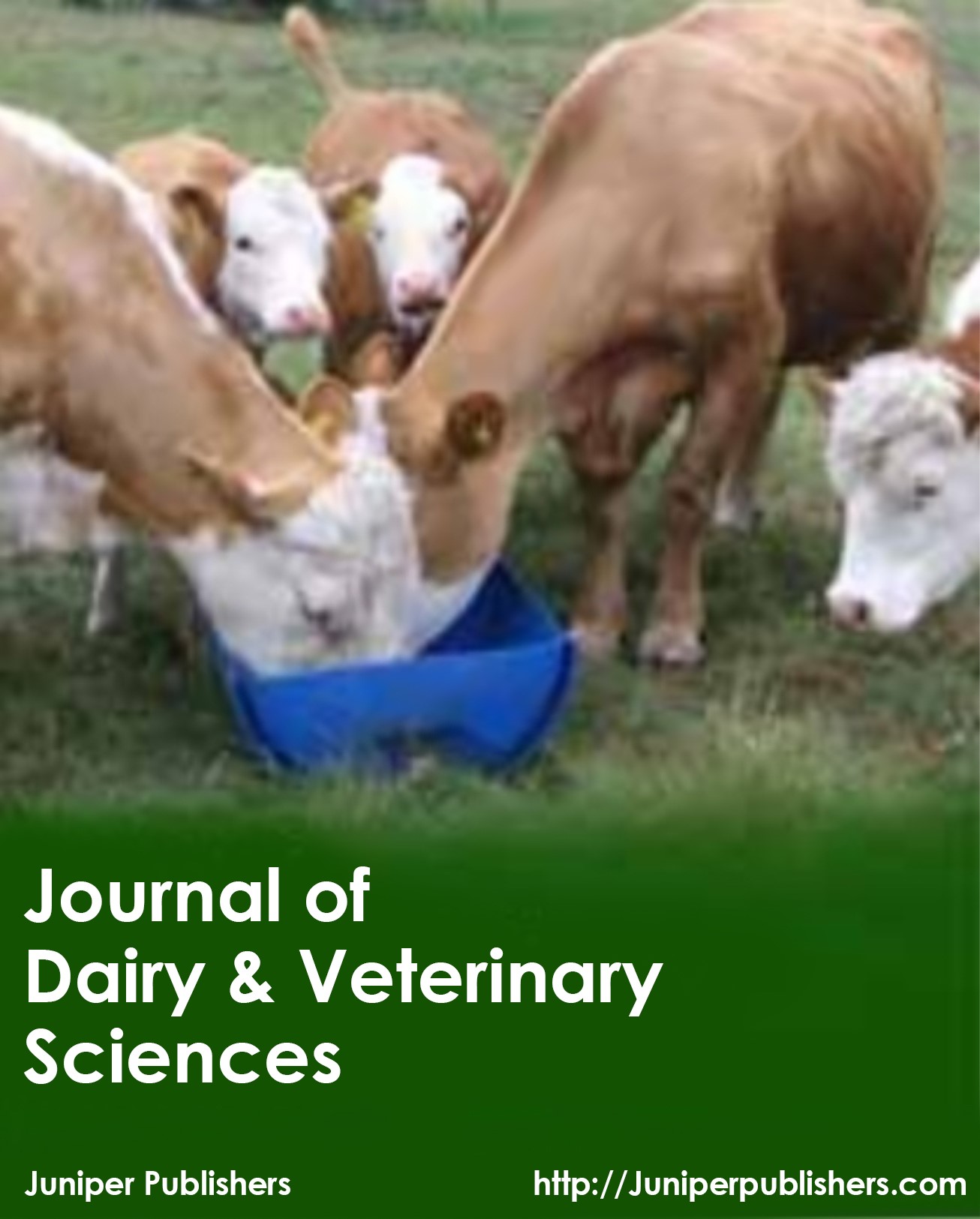 Juniper Publishers Journal of Dairy & Veterinary Sciences