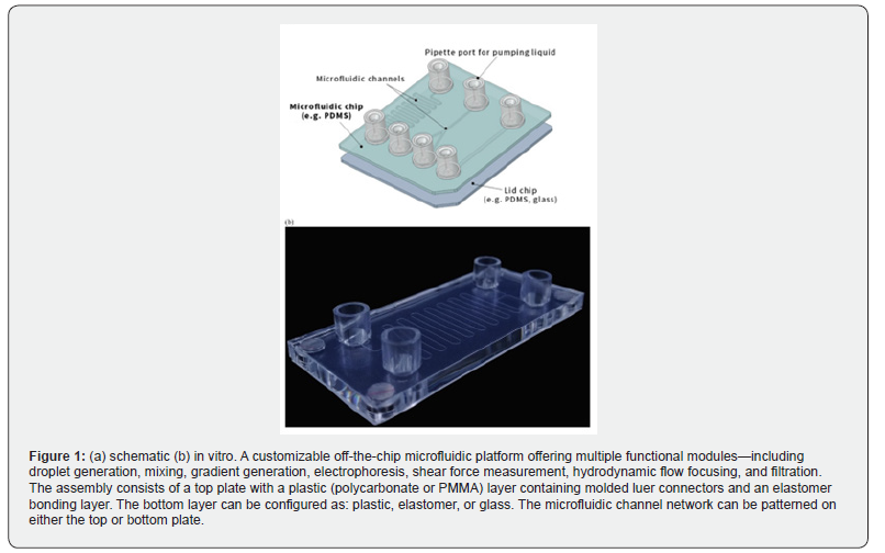 Click here to view Large Figure 1