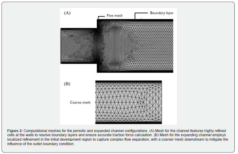 Click here to view Large Figure 2