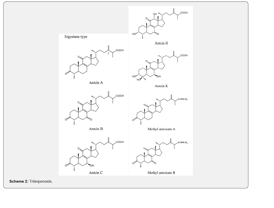 Click here to view Large Figure 2