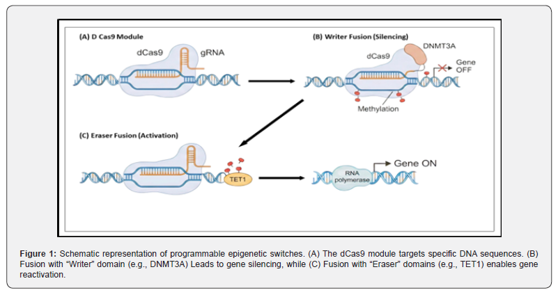 Click here to view Large Figure 1