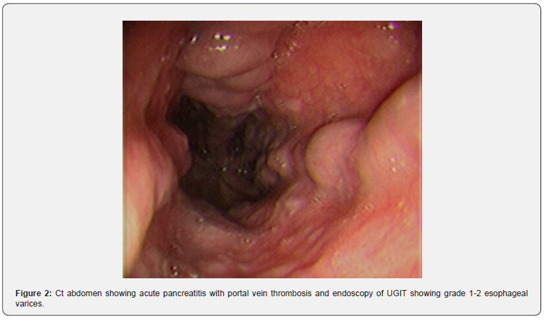 Click here to view Large Figure 2
