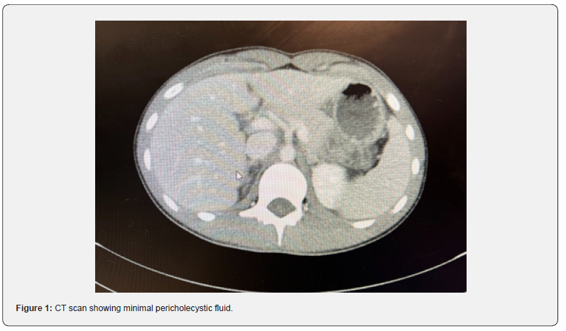 Click here to view Large Figure 1