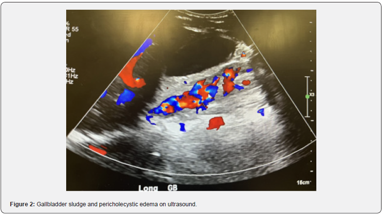 Click here to view Large Figure 2