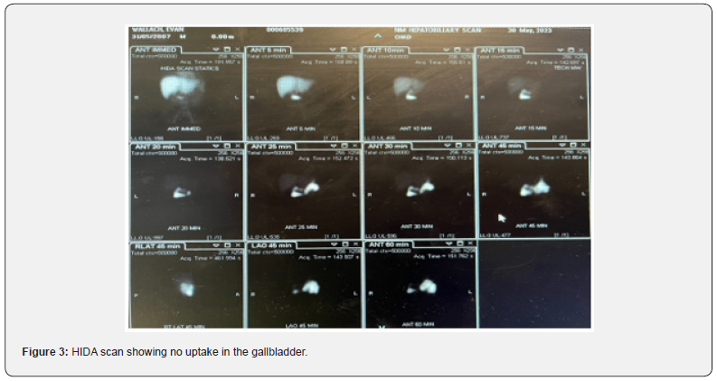 Click here to view Large Figure 3