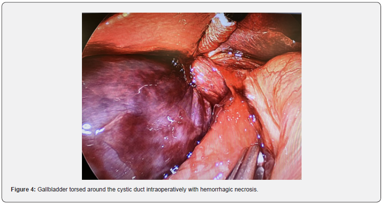 Click here to view Large Figure 4