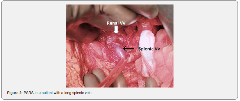 Click here to view Large Figure 2