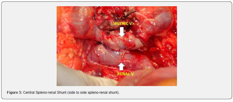 Click here to view Large Figure 3