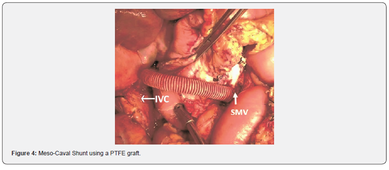 Click here to view Large Figure 4