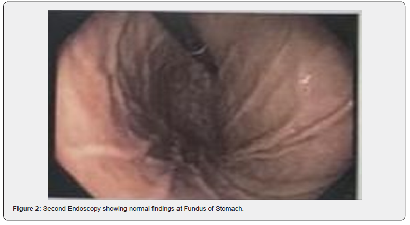 Click here to view Large Figure 2