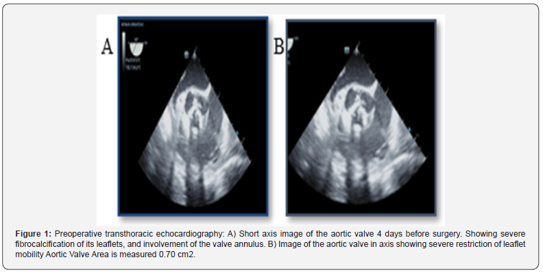 Click here to view Large Figure 1