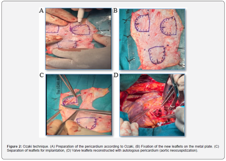 Click here to view Large Figure 2