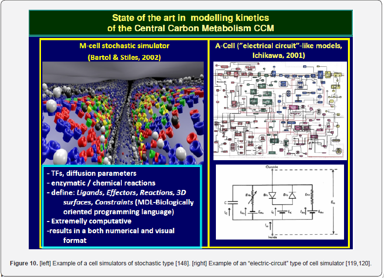 Click here to view Large Figure 10