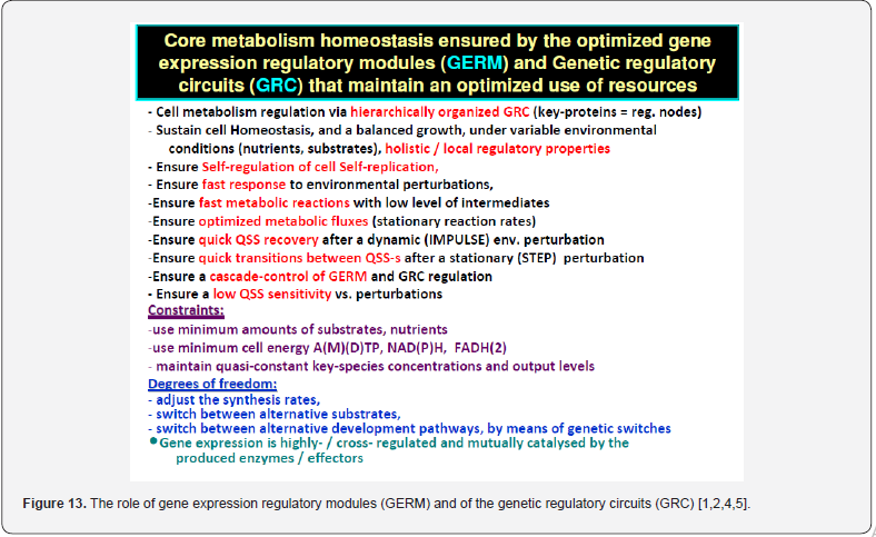 Click here to view Large Figure 13