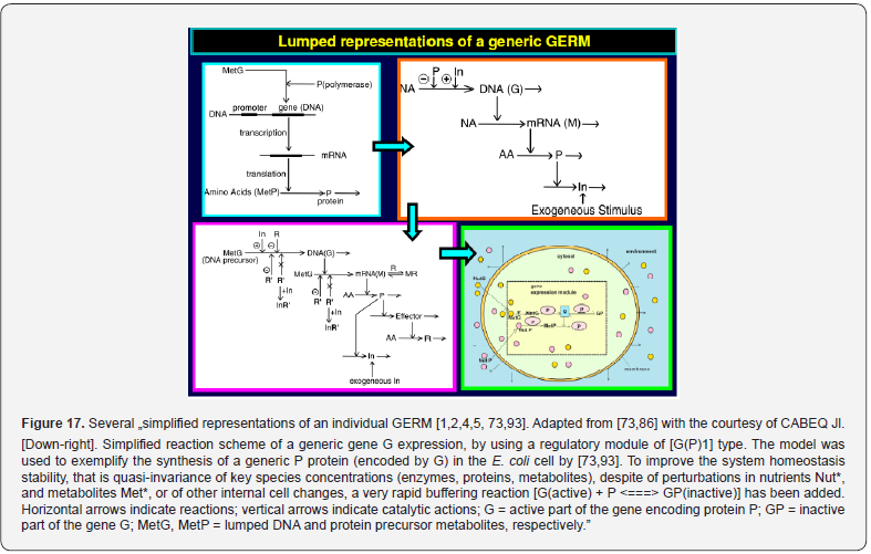 Click here to view Large Figure 17