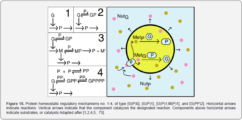 Click here to view Large Figure 18