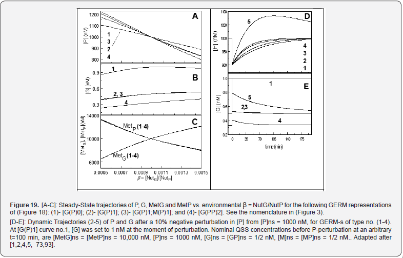Click here to view Large Figure 19