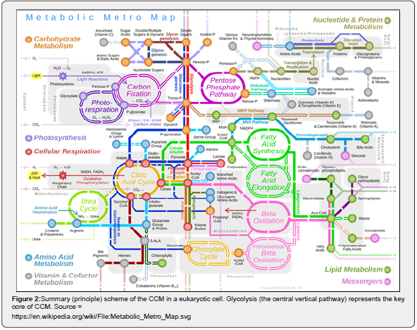 Click here to view Large Figure 2