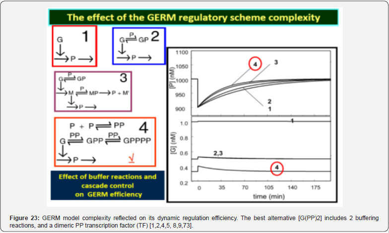 Click here to view Large Figure 23
