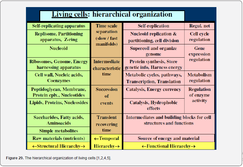 Click here to view Large Figure 29