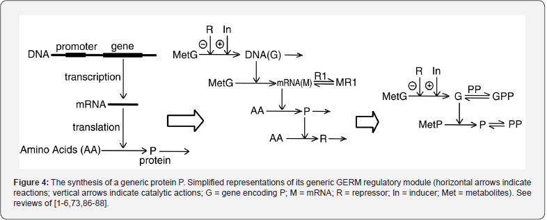 Click here to view Large Figure 4