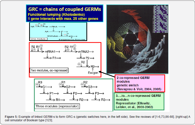 Click here to view Large Figure 5