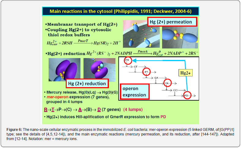 Click here to view Large Figure 6
