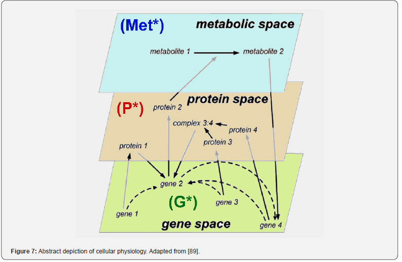 Click here to view Large Figure 7