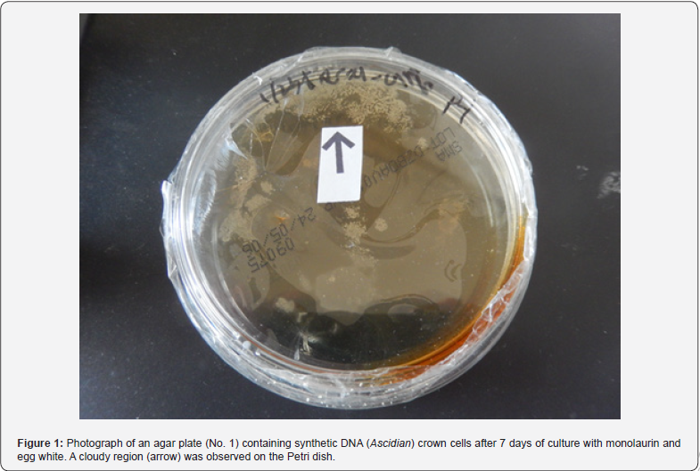 Click here to view Large Figure 1