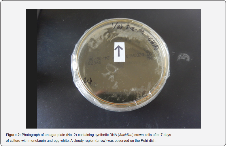 Click here to view Large Figure 2