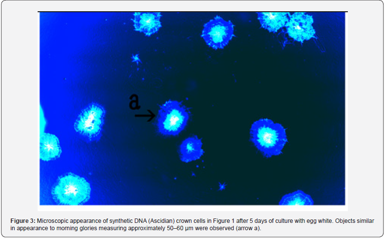 Click here to view Large Figure 3