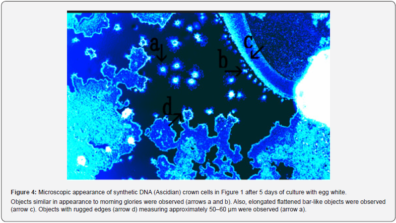 Click here to view Large Figure 4