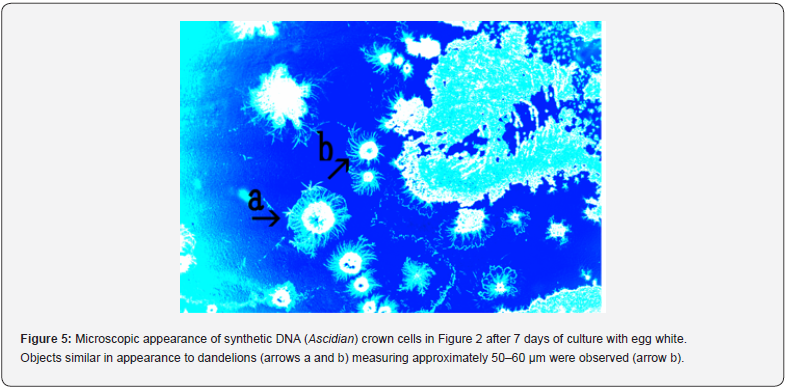 Click here to view Large Figure 5
