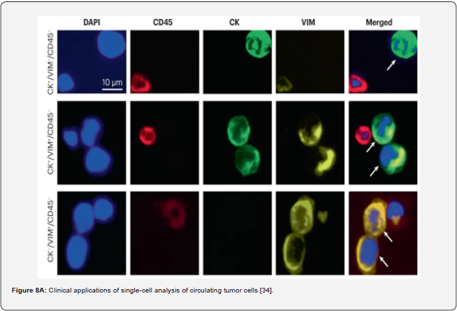 Click here to view Large Figure 10