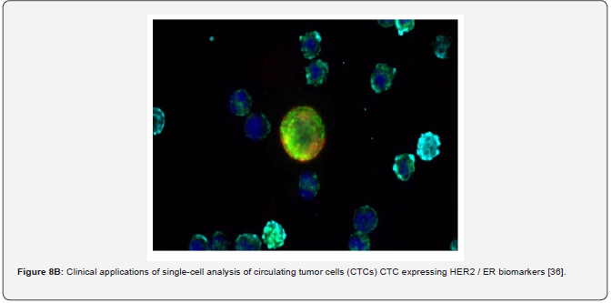 Click here to view Large Figure 11