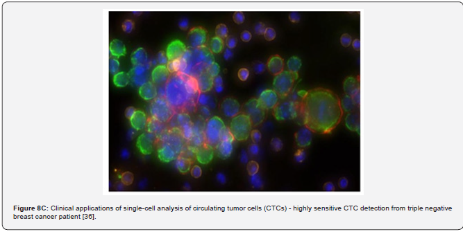 Click here to view Large Figure 12