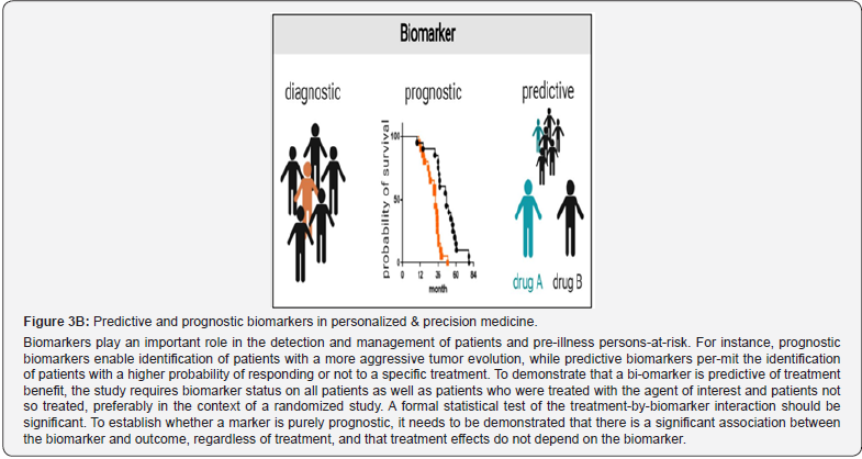 Click here to view Large Figure 4