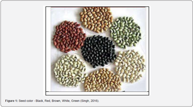 Click here to view Large Figure 1