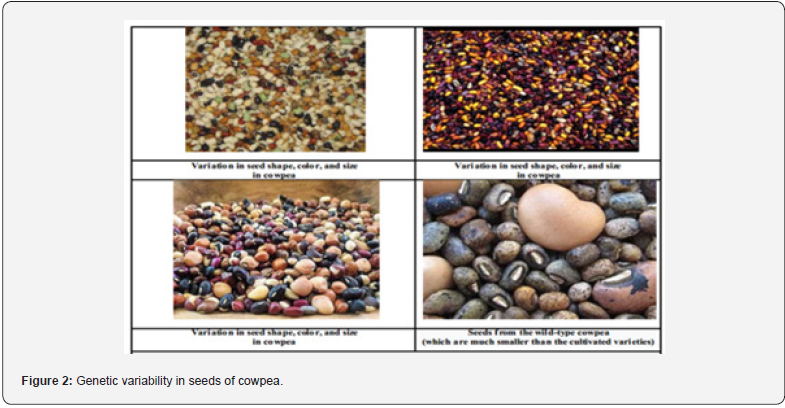 Click here to view Large Figure 2