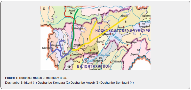 Click here to view Large Figure 1