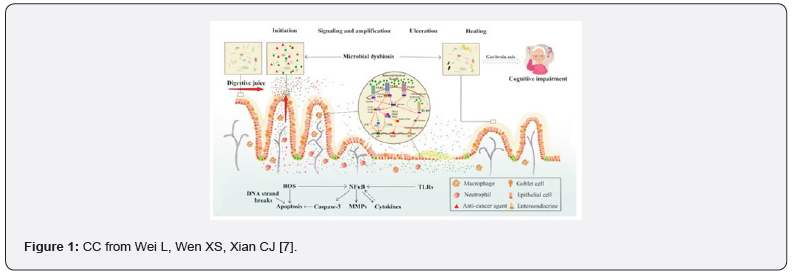 Click here to view Large Figure 1