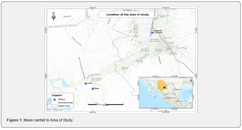 Click here to view Large Figure 1