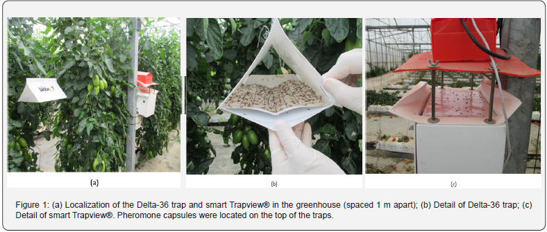 Click here to view Large Figure 1