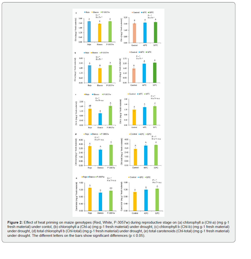 Click here to view Large Figure 2