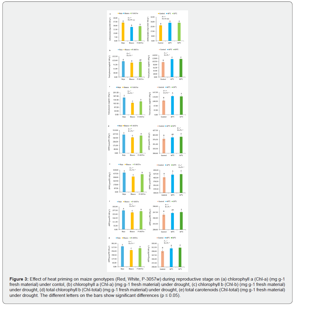 Click here to view Large Figure 3