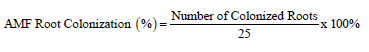 Click here to view Large Figure 1