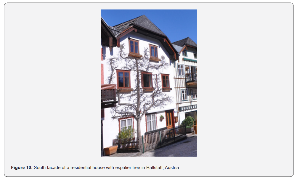 Click here to view Large Figure 10