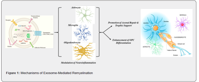 Click here to view Large Figure 1