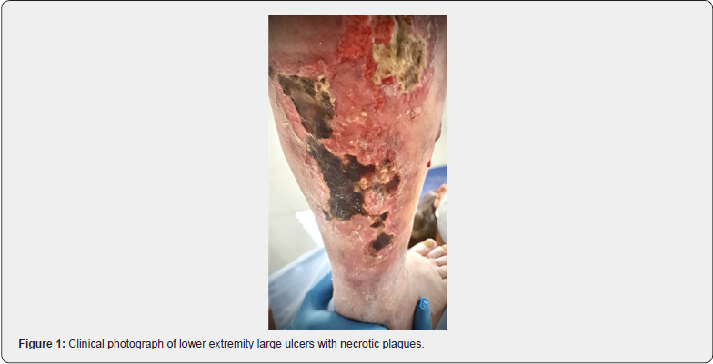 Click here to view Large Figure 1